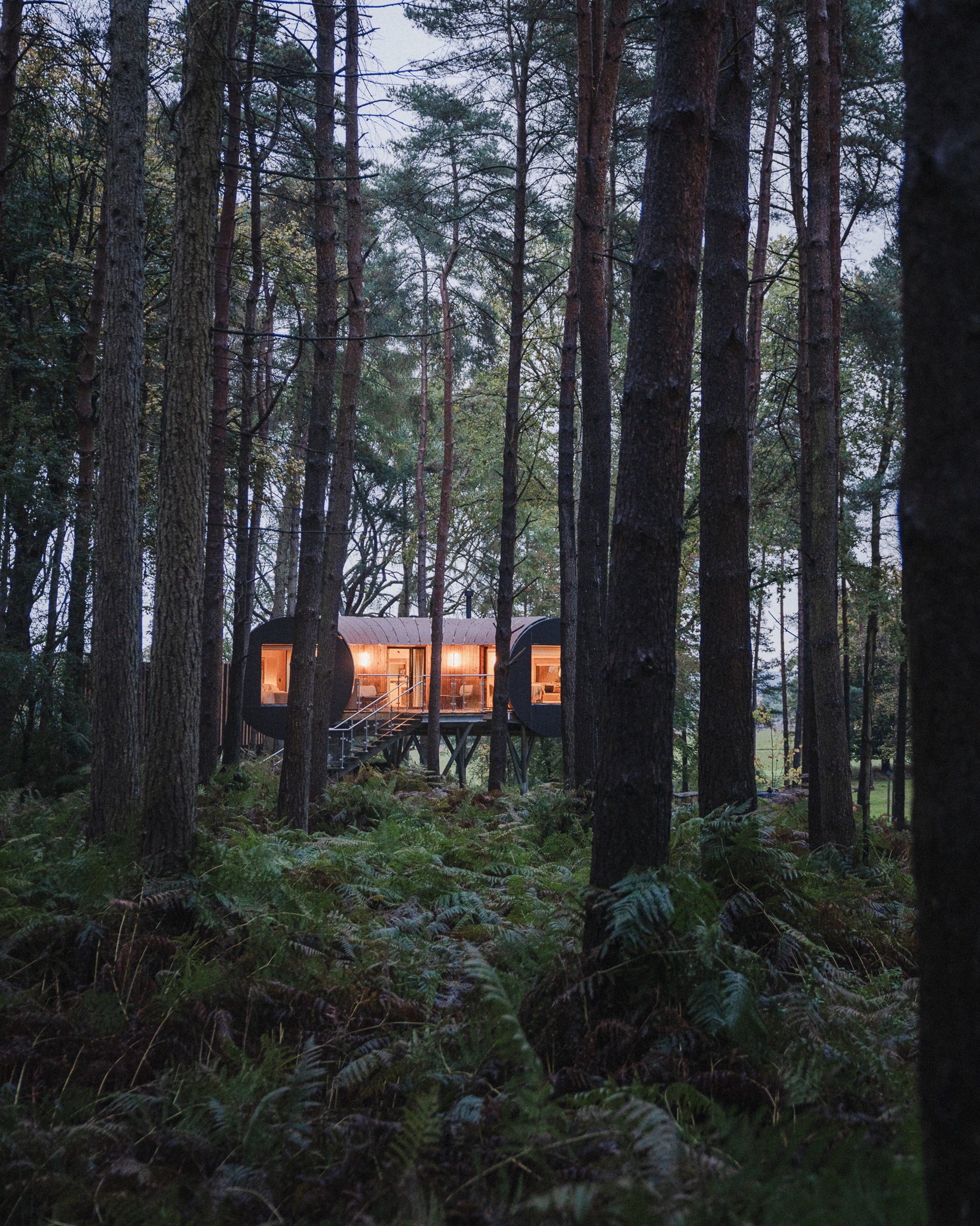 a cabin hotel in a forest - the travel project blog