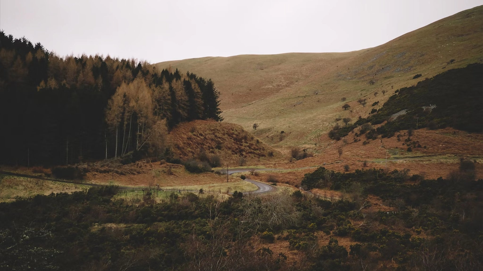 A landscape shot of countryside in Scotland