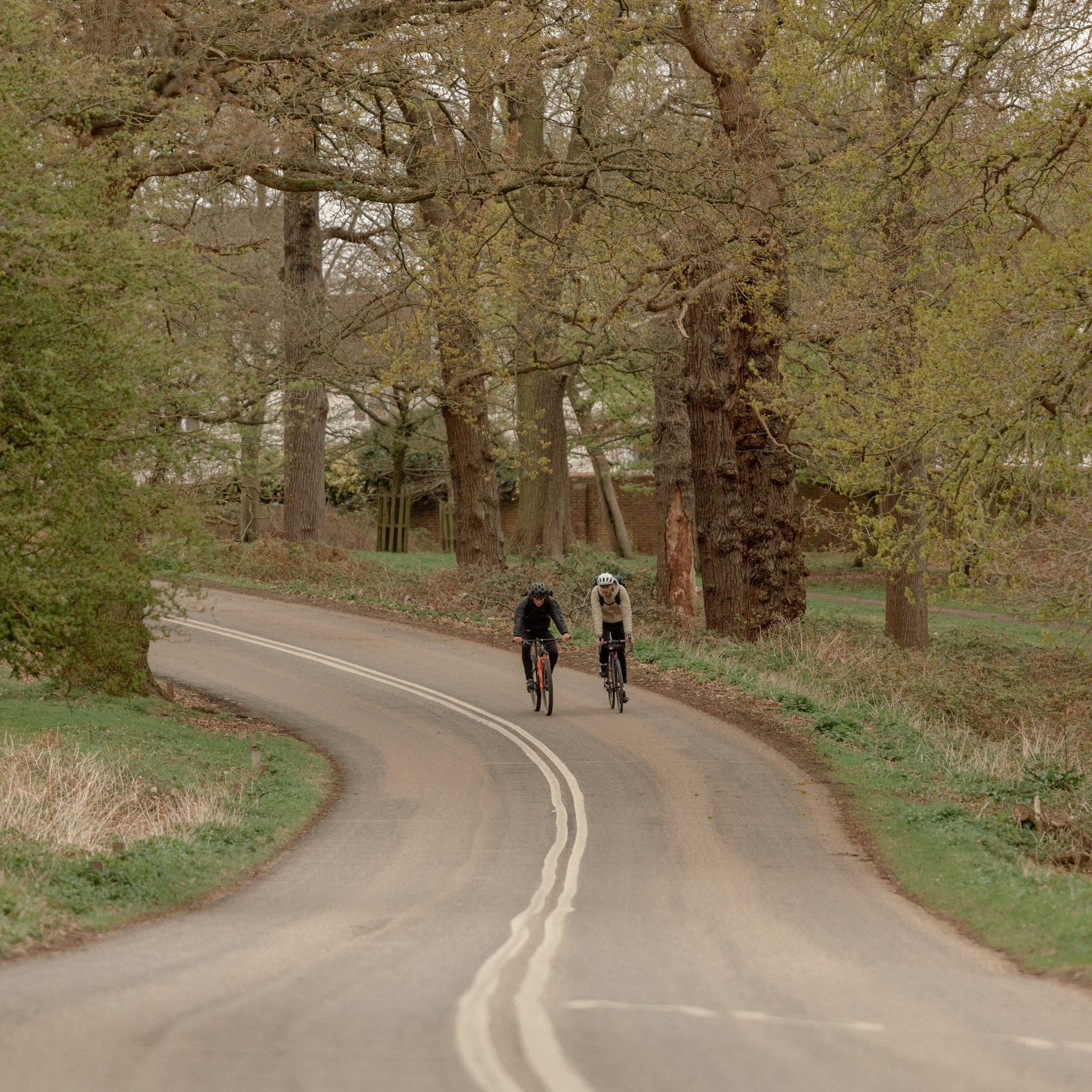 2 men cycling through Richmond Park with Roll Tops