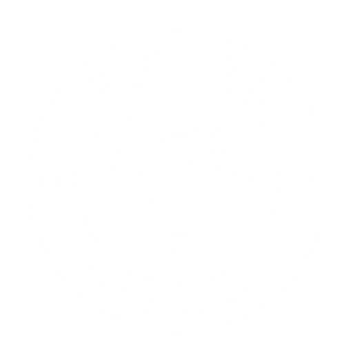 Brentford FC logo white