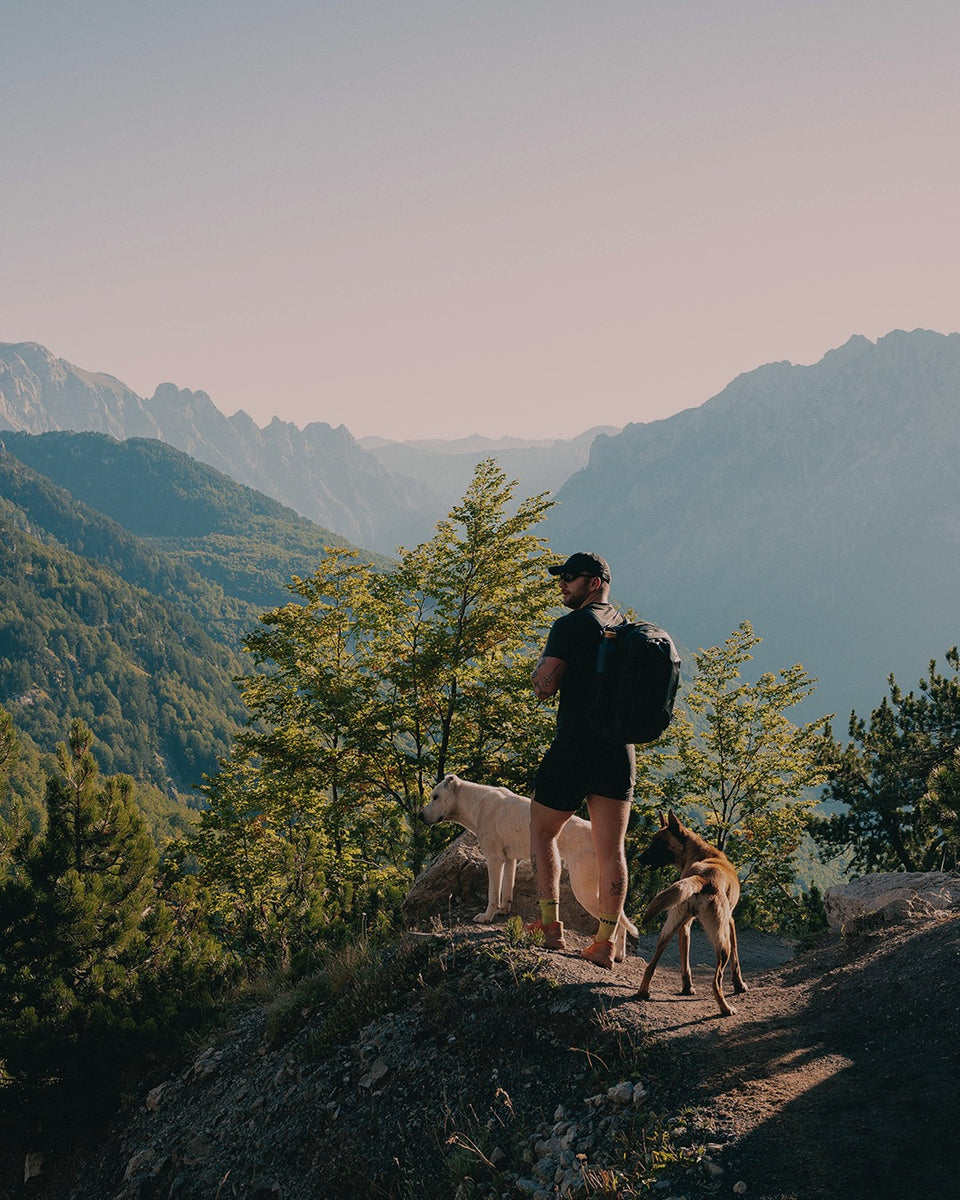 Man in a cap with a black backpack standing on a rocky ledge with two dogs, looking out over forested mountains at sunset