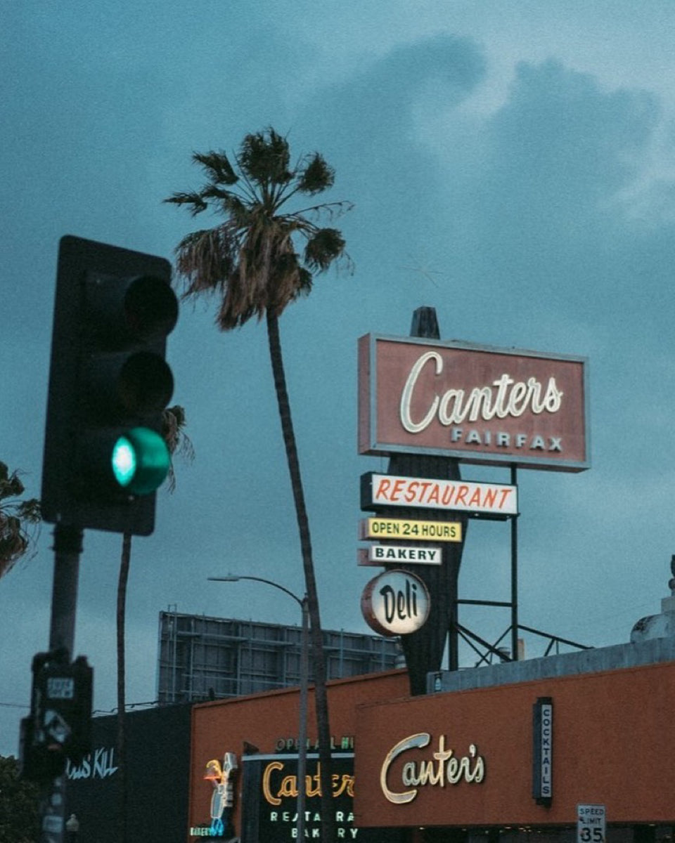 A shot of the palm tree and shop signs in Los Angeles