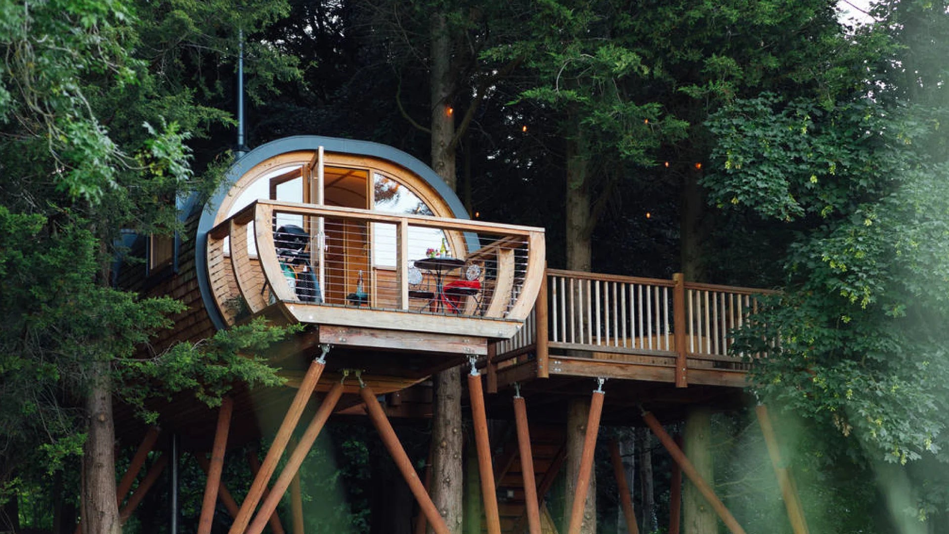 A treehouse in a forest