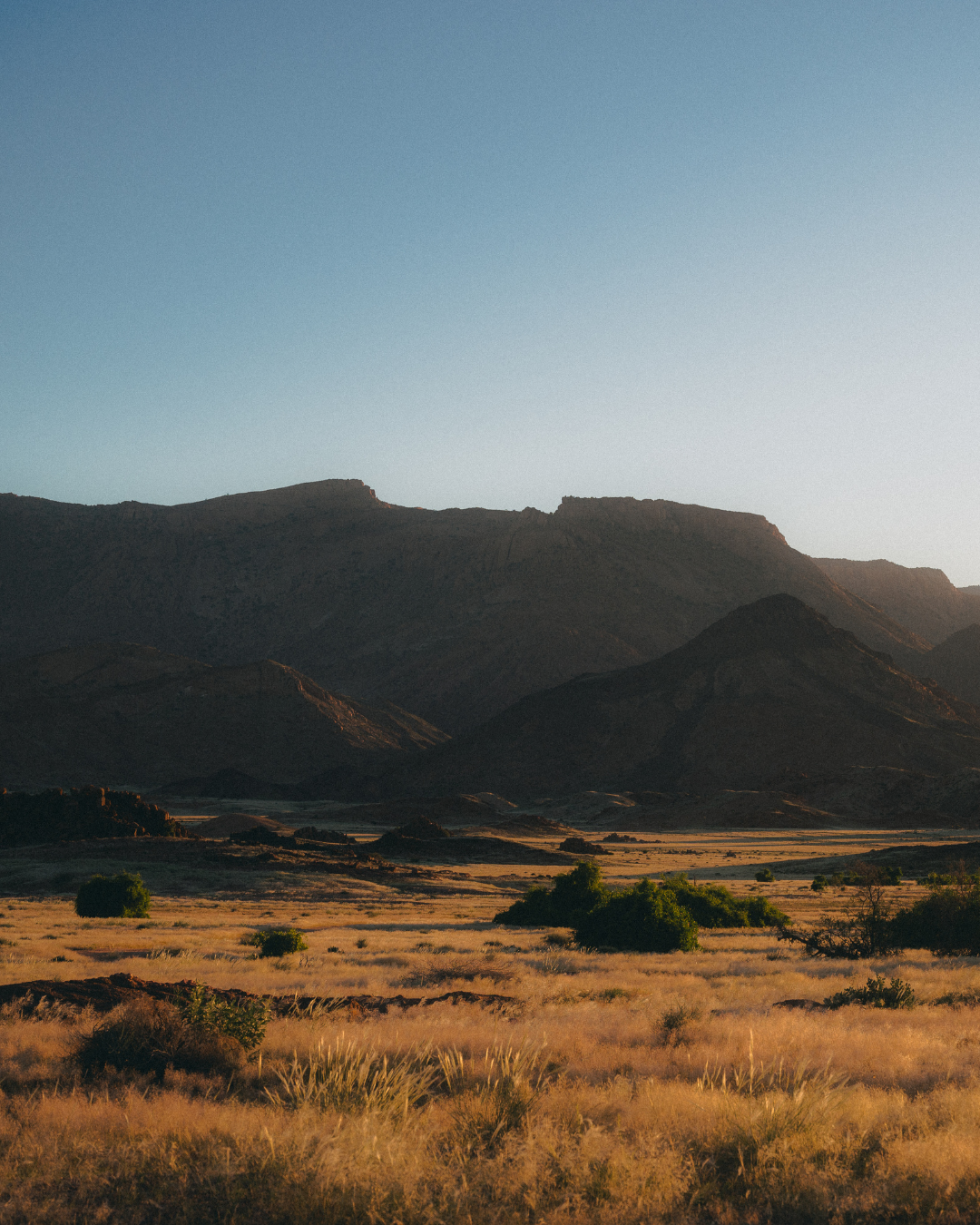 Namib desert at blue hour with mountainscape in background