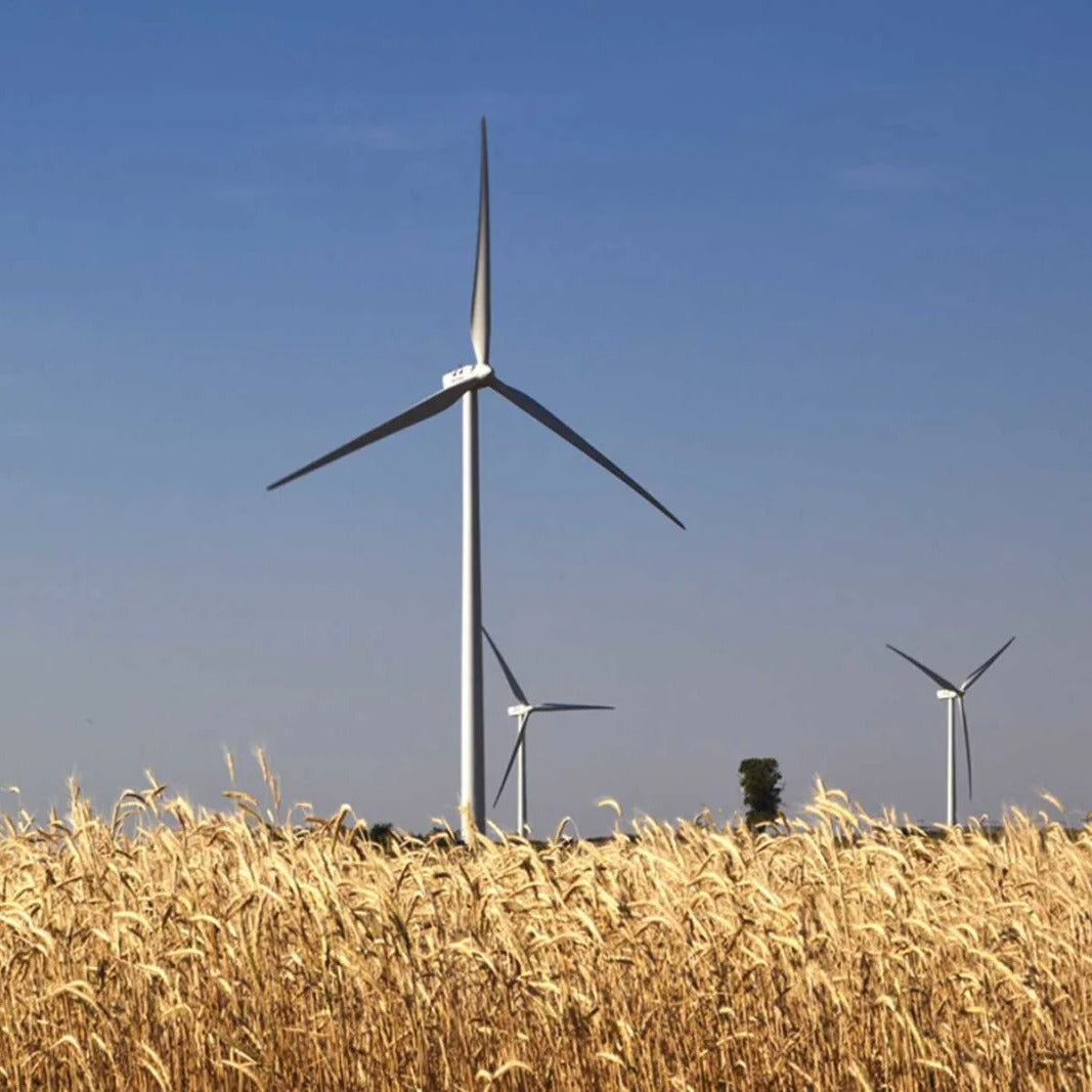 wind turbines in wheat field