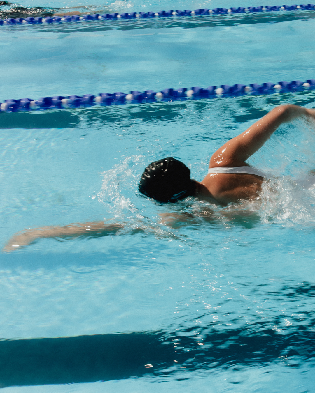 Person swimming freestyle in a lane at a pool. 